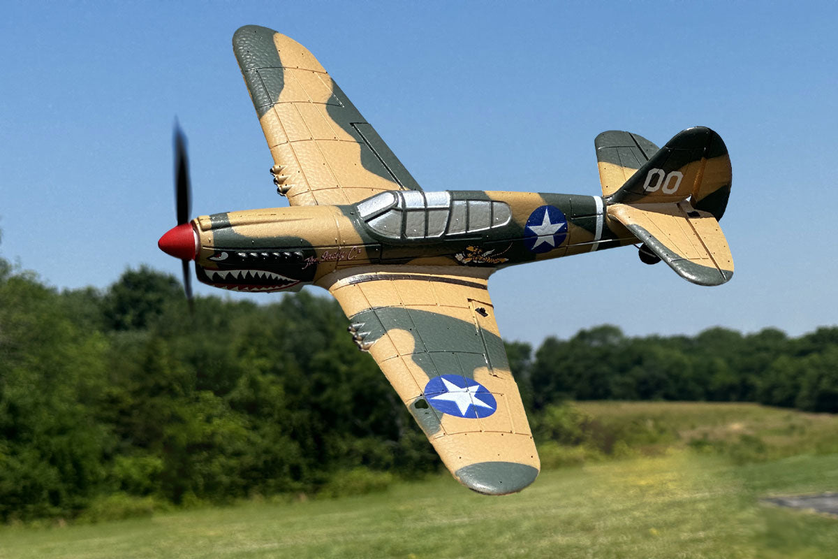 Rage RC Curtiss P-40 Warhawk Micro RTF Airplane with PASS (Pilot Assist Stability Software) System