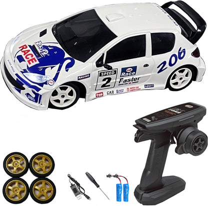 RC Pro 1/28 Mini RC Drift Car GTR 2.4GHz 4WD RTR with Gyro