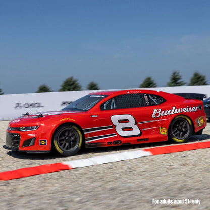 *** Pre-Order 1/12 Losi NASCAR Dale Earnhardt Jr. No. 8 Budweiser (Battery & Charger Included)