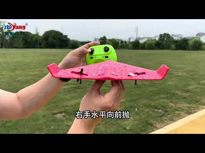 RC Pro ZY325 Ready To Fly Airplane